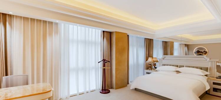 合肥蒂斯蓝顿国际酒店图片