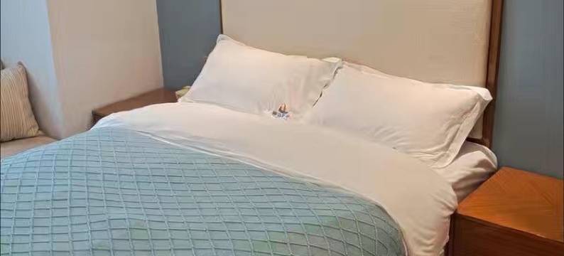 青柠精品公寓(东盟商务区万象城店)图片