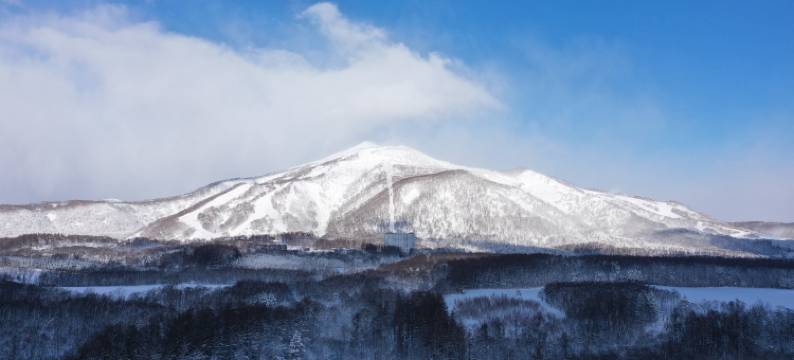 新雪谷安达鲁精选酒店(Andaru Collection Niseko)图片