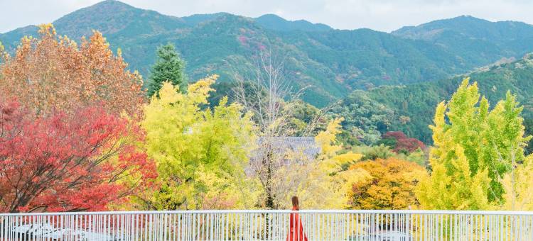 Fairfield by Marriott Nara Tenri Yamanobenomichi图片