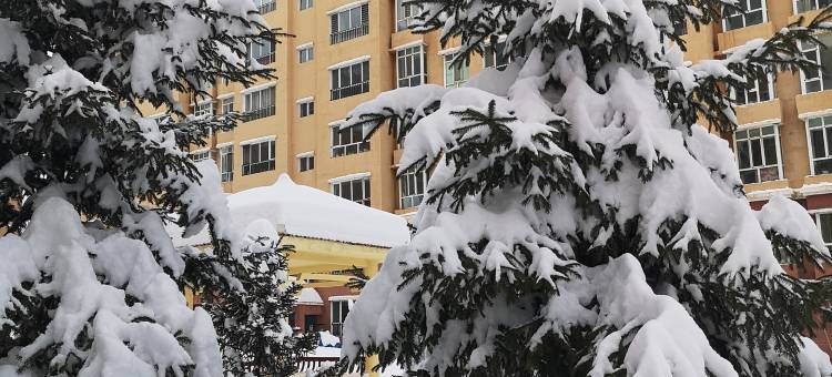 缘溪山居民宿图片