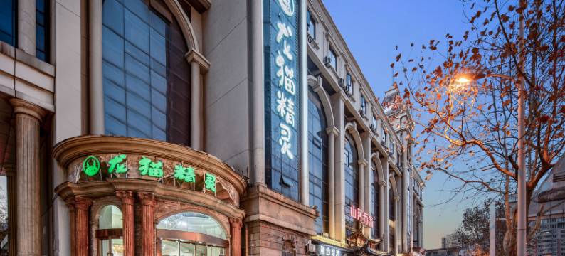 龙猫精灵酒店(合肥高铁南站罍街夜市广场店)图片