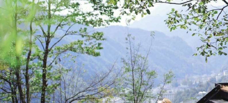 云浮半山•度假民宿图片