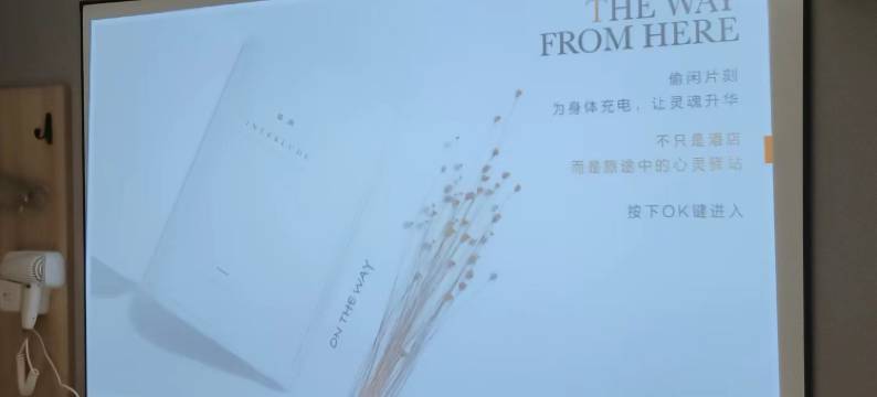 太东亚酒店(利和广场店)图片