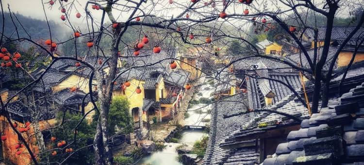 陋室民宿图片