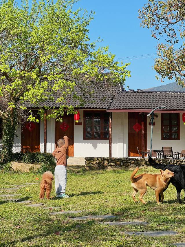 花筑·莫干山自然居·乡村四合院宠物度假民宿图片