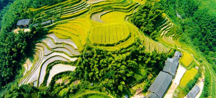 桃源梯田远山民宿图片