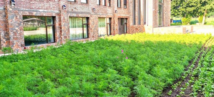 丰宁欣龙门假日酒店图片