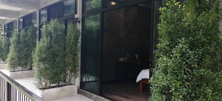 早安丹通清迈(Morning Thanthong Chiang Mai)图片