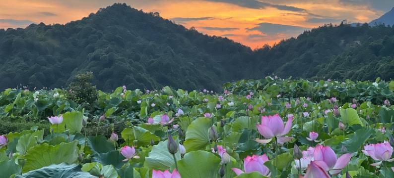 建宁石头客栈图片