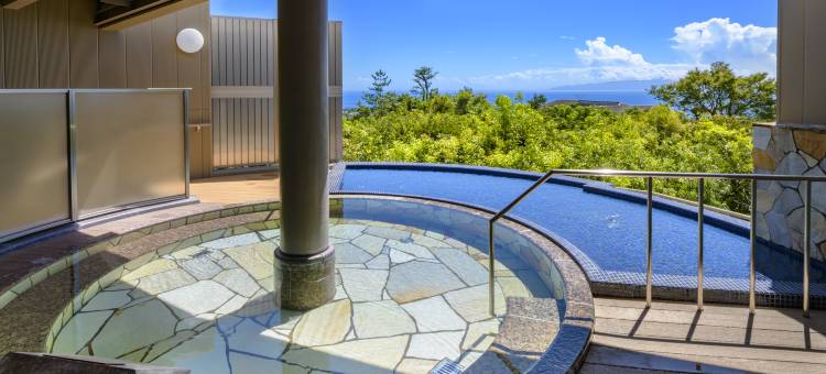 伊豆高原龟之井酒店(Kamenoi Hotel Izukogen)图片