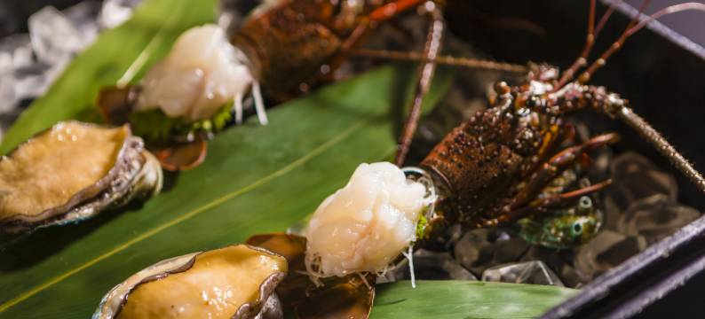 伊豆热川 自家源泉 好客之宿 Miharuya(Miharuya)图片