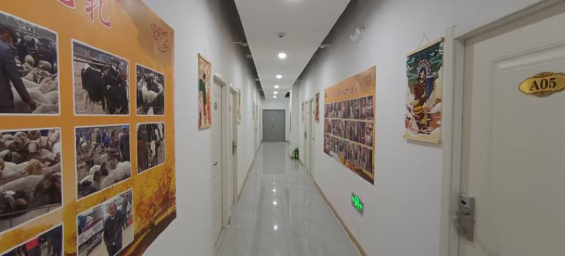 喀什花样年华民宿图片