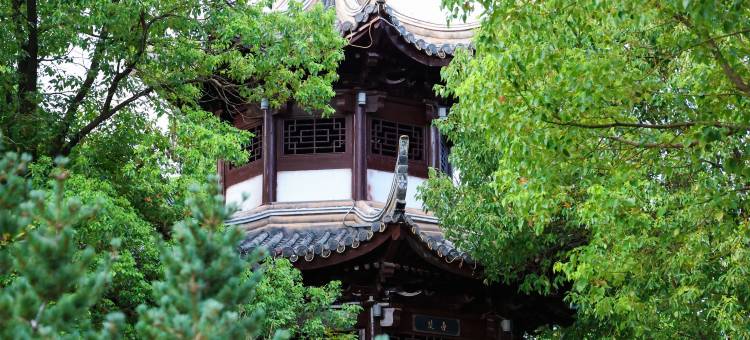大丰东苑酒店图片