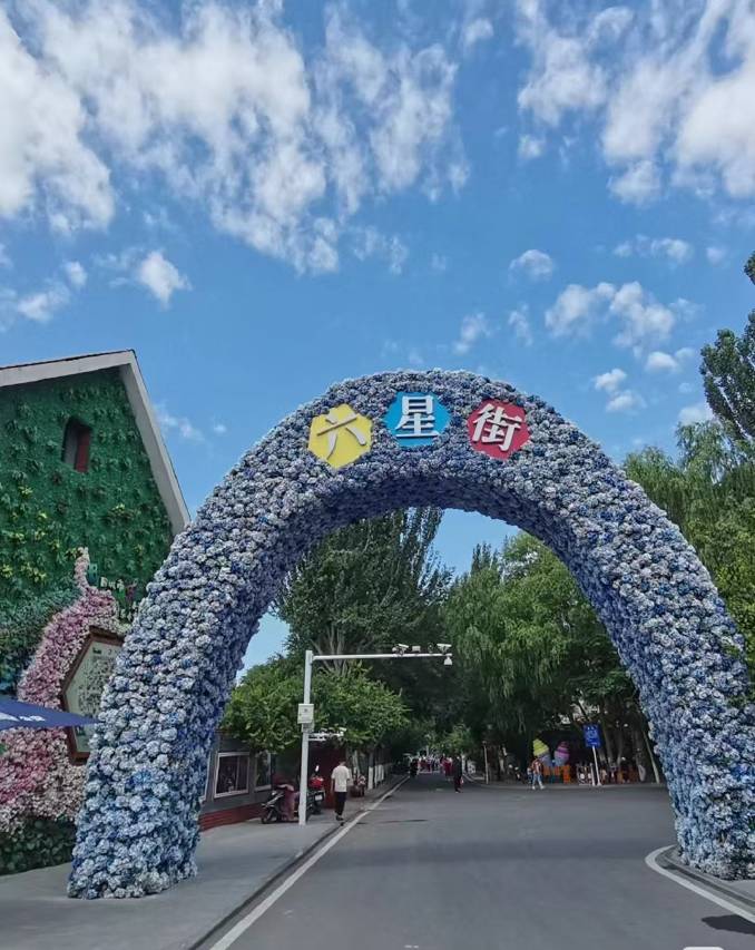 西域情调民宿(伊宁机场火车站店)图片