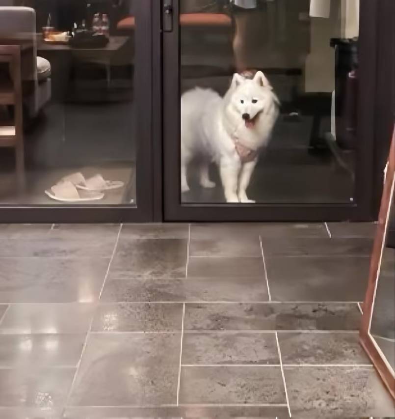 花筑·金澜清川度假别墅(陵水香水湾店)图片