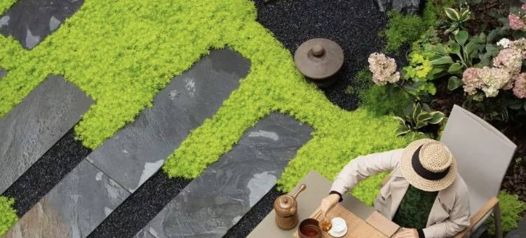 丽江美旅度假别墅民宿图片