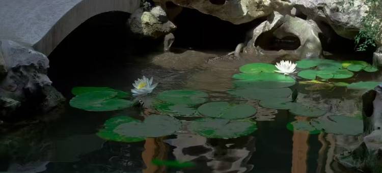 周庄隐庐别院·河景花园美宿图片