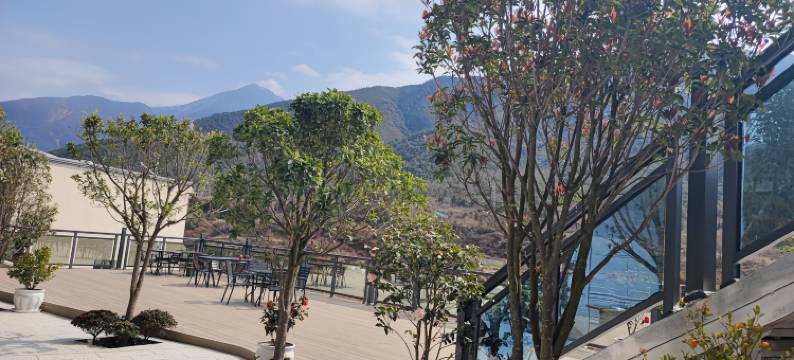 竹林缘农庄图片