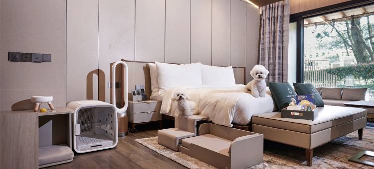 琥珀璞山度假村济州(Amber Pure Hill Hotels & Resorts Jeju)图片