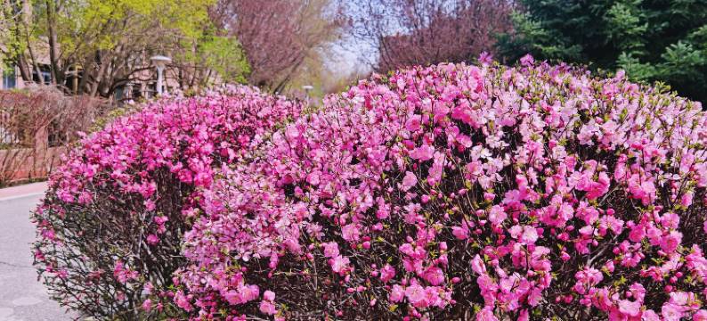 呼和浩特东河宾馆(内蒙古国际会展中心万达广场店)图片