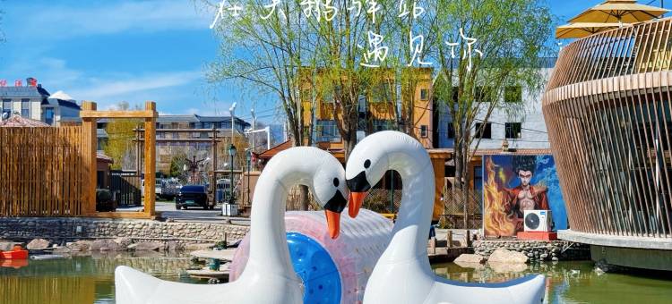 特克斯天鹅驿站(八卦城中心太极坛店)图片