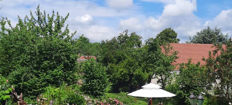 乐特姆斯顿若威酒店(Le temps des reves)图片