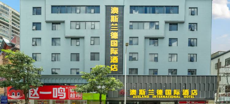 澳斯兰德国际酒店(汕尾二马路美食街信利广场店)图片
