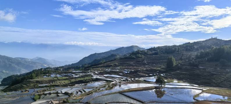 元阳阿者科彩色梯田景观民宿(四素台店)图片