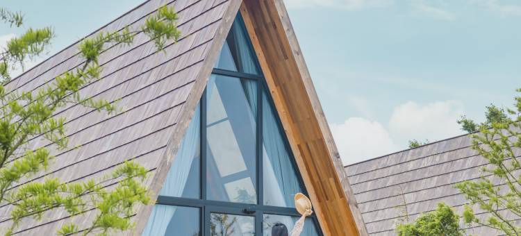 太仓七十二家村树蛙部落图片