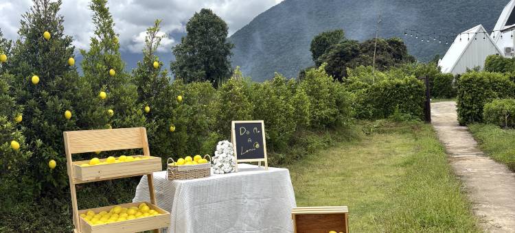 清道乐天园(Paradise Resort & Cafe)图片