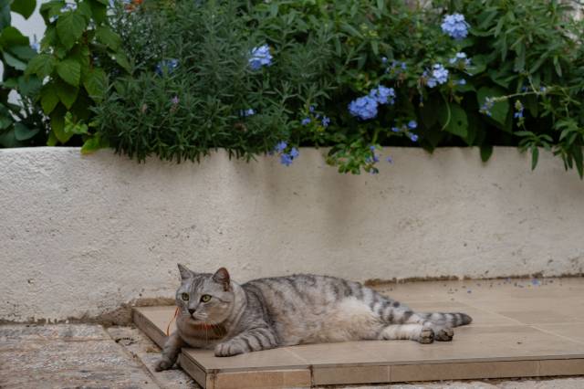大理暖暖·奕境悬崖海景酒店图片