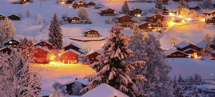 禾木双穗禾·360°环山Slowly·原木风私享美宿(落日篝火晚会店)图片