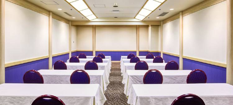 米泽皇家松树酒店(ROYAL PINES HOTEL YONEZAWA)图片