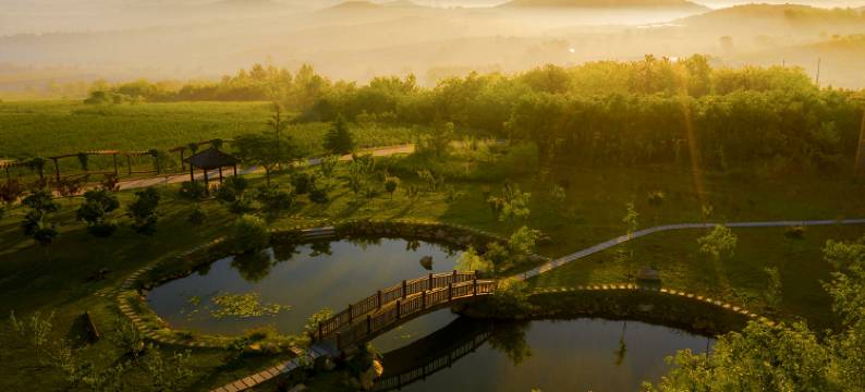 京玺庄园烟台蓝莓假日酒店图片