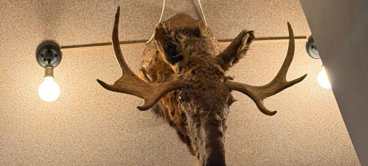 Nomera v Pushkine图片