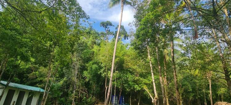 Koh kood Good Time by Jasmine图片