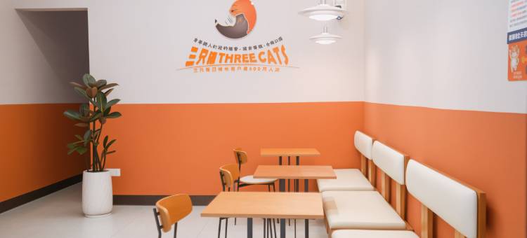 三只猫青年旅社(金城江店)图片