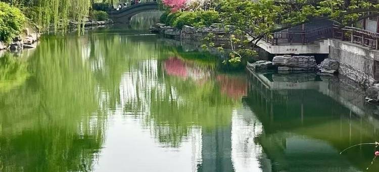 三只猫民宿(郑州人民公园店)图片