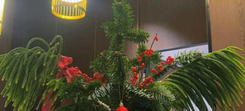 熹临设计师酒店(汕尾二马路店)图片