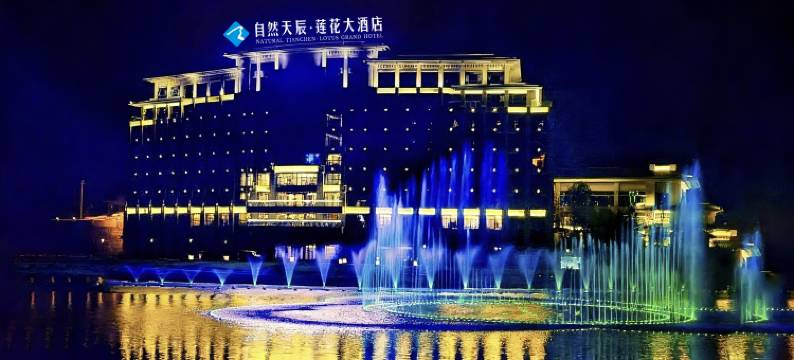 西充自然天辰·莲花大酒店图片