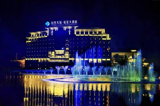 西充自然天辰·莲花大酒店(惜字塔公园店)