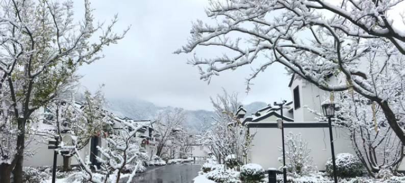 向野而生(栾川老君山景区店)图片