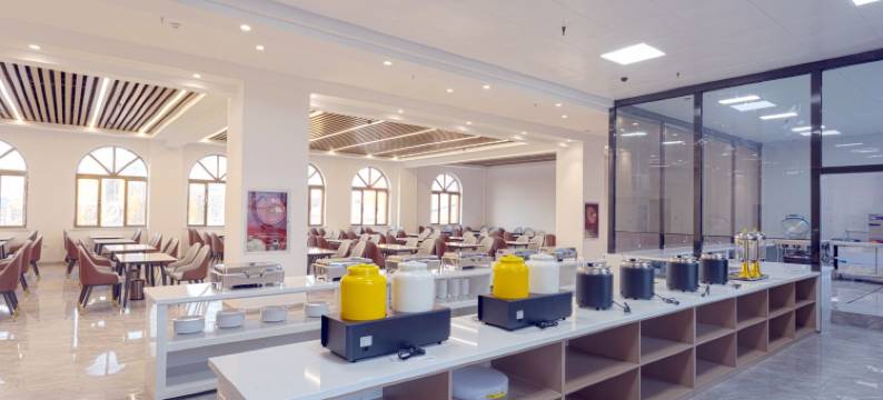 霍城清水河解忧公主薰衣草园丽呈酒店图片