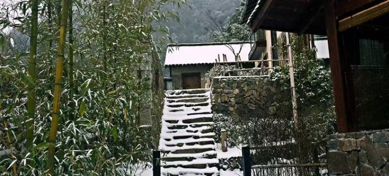 松阳云端觅境民宿(松阳西坑村店)图片