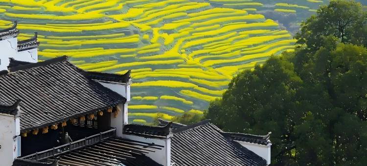 在野壹舍·汉服美学设计民宿(婺源篁岭风景区店)图片