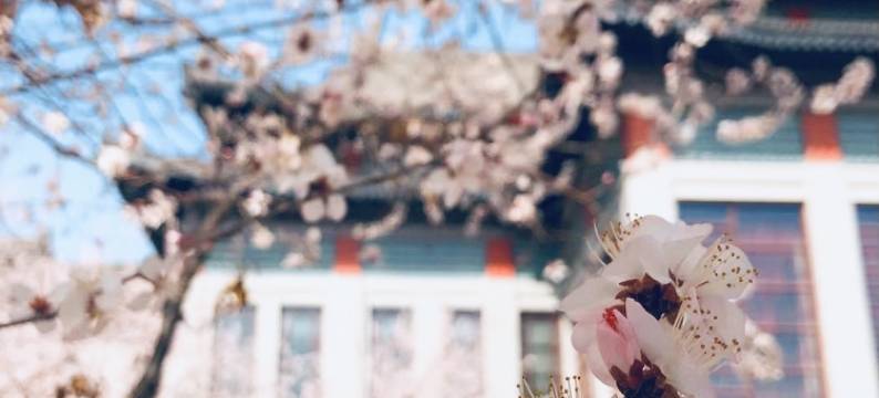 天津生态城希尔顿酒店图片