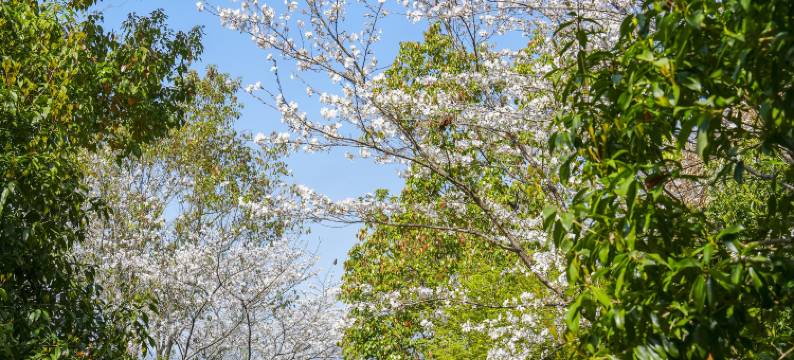 杭州桐庐康莱德酒店图片
