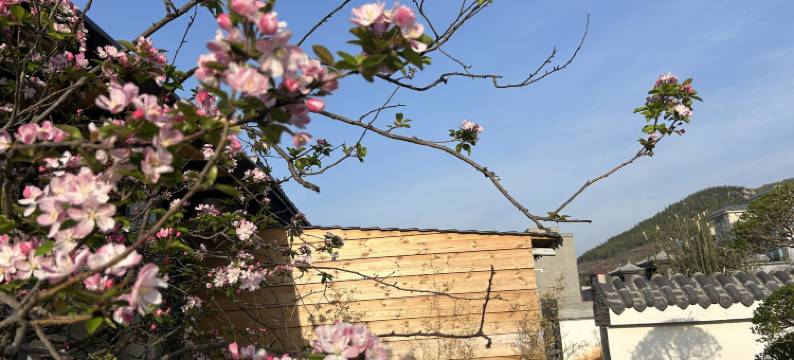 登封有鹿民宿(嵩山风景区店)图片