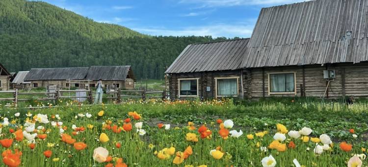 山野既来·WildHere｜景观设计师民宿(喀纳斯景区店)图片